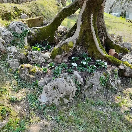 Antopolis Apartmán Malcesine